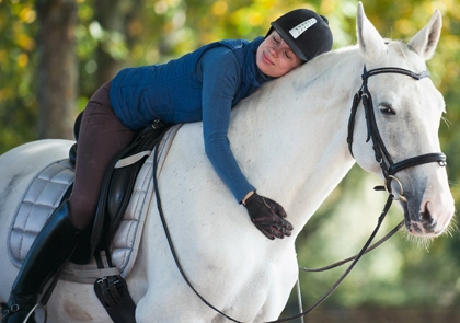 comportement des chevaux