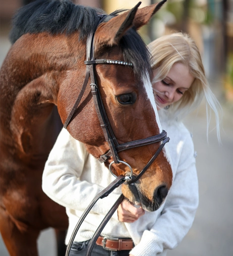 education et comportement des chevaux